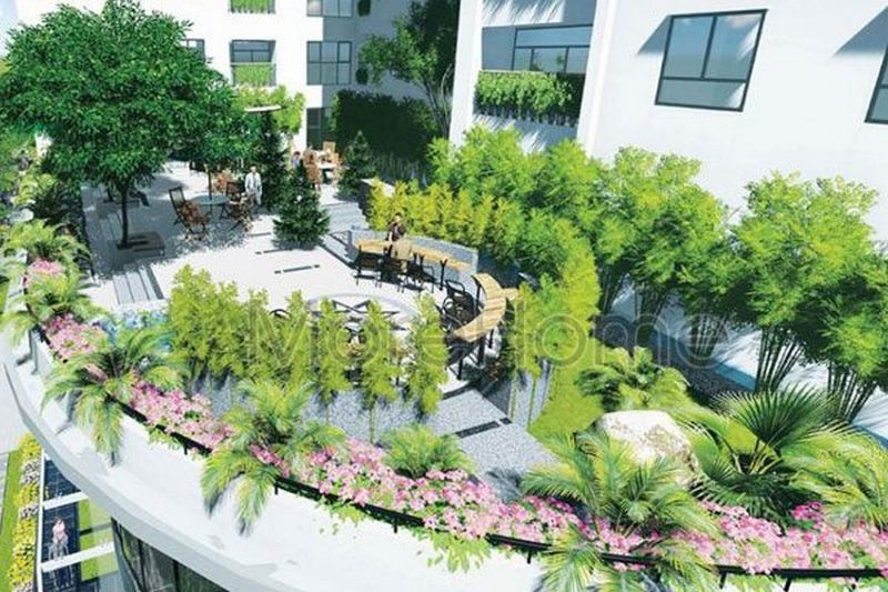 Thiết kế sân vườn khách sạn chuẩn 3 sao, 4 sao, 5 sao TCVN-4391-2015 Morehome