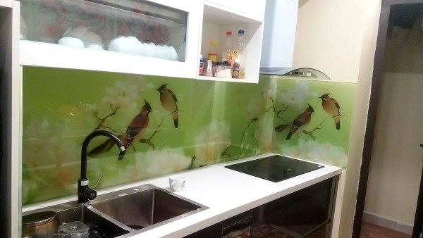 Kính ốp bếp 3D Kính ốp bếp 3D